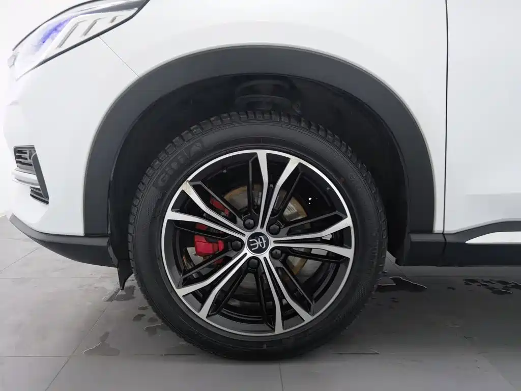 BYD PLUS — миниатюра 17