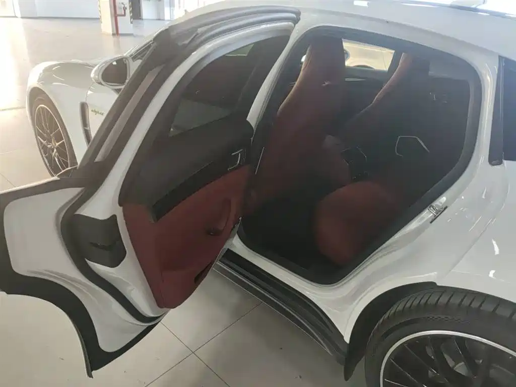 PORSCHE PANAMERA NEW ENERGY