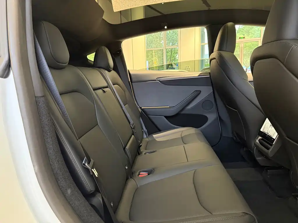 Tesla Model Y — миниатюра 11