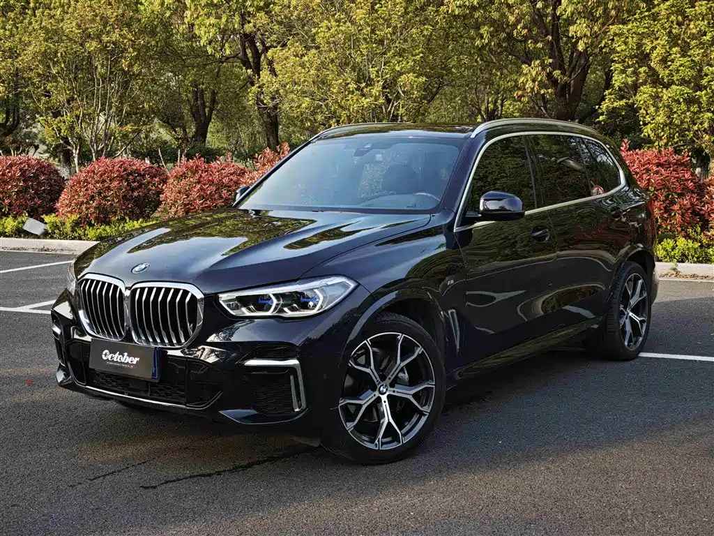 BMW X5 2022
