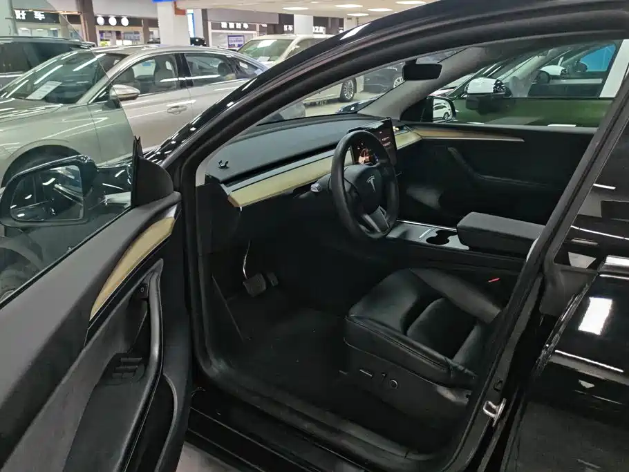 Tesla Model Y — миниатюра 9