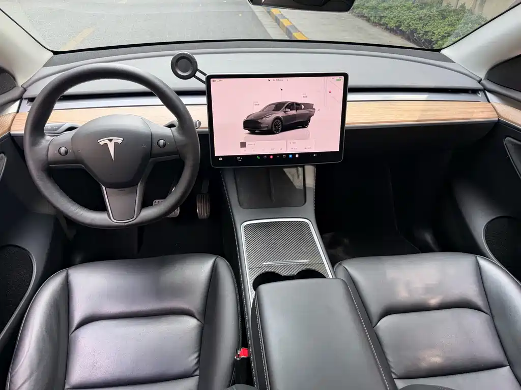 Tesla Model Y — миниатюра 14