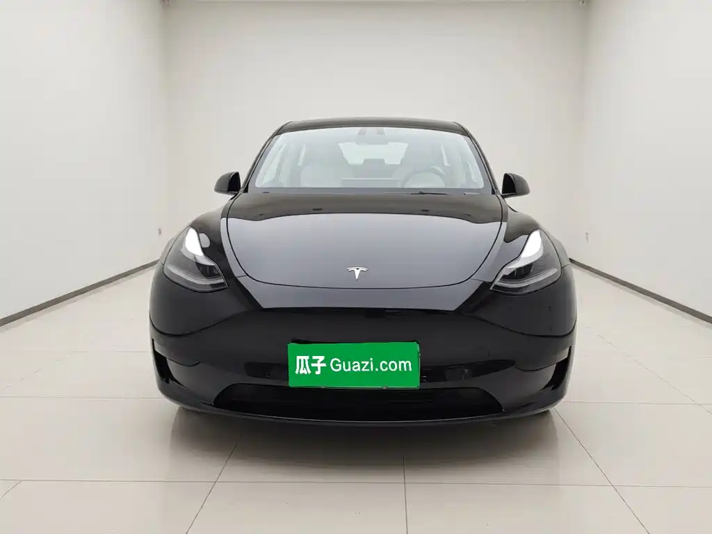 Tesla Model Y — миниатюра 2