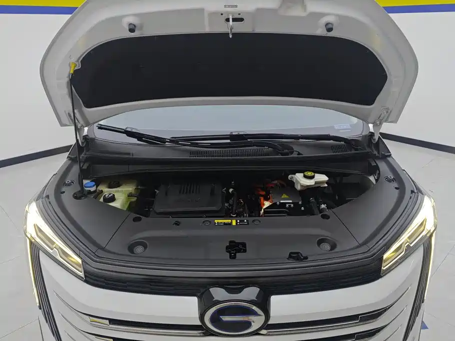 GAC Motor Trumpchi E9 — миниатюра 10