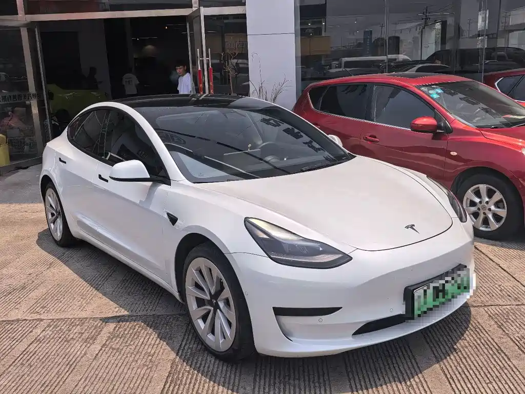 Tesla Model 3 2021 3D1