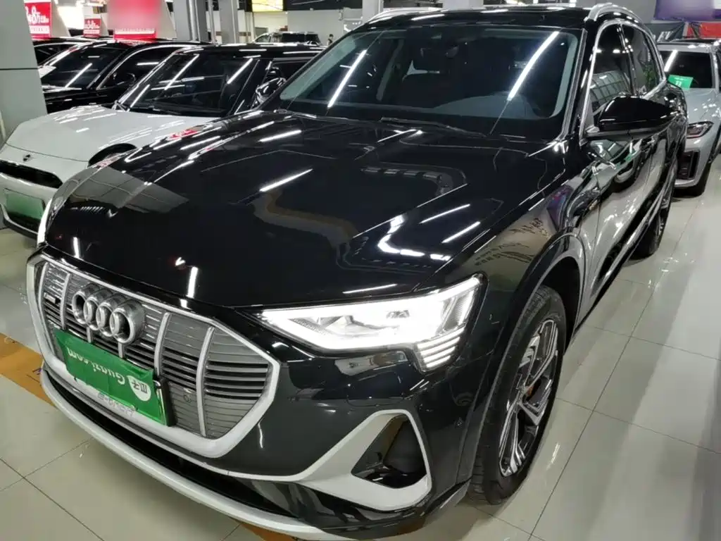 Audi e-tron — миниатюра 2