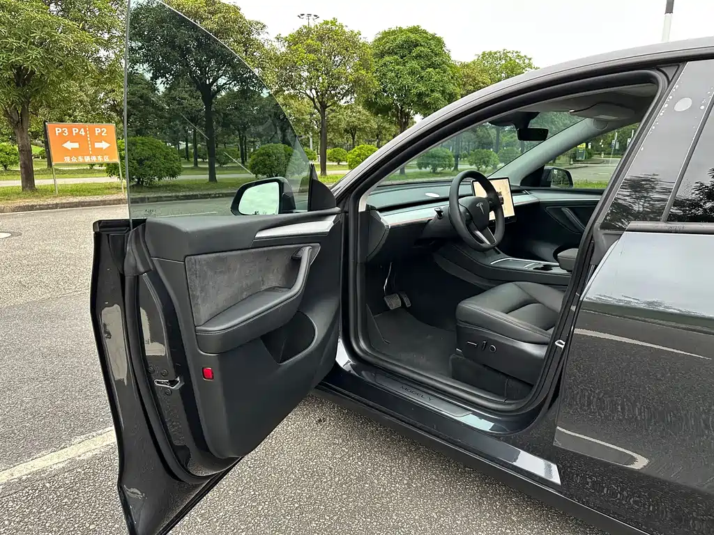 Tesla Model Y — миниатюра 8
