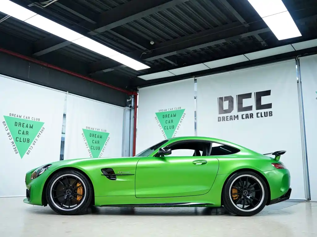 Mercedes-Benz AMG GT AMG GT R, фото 17