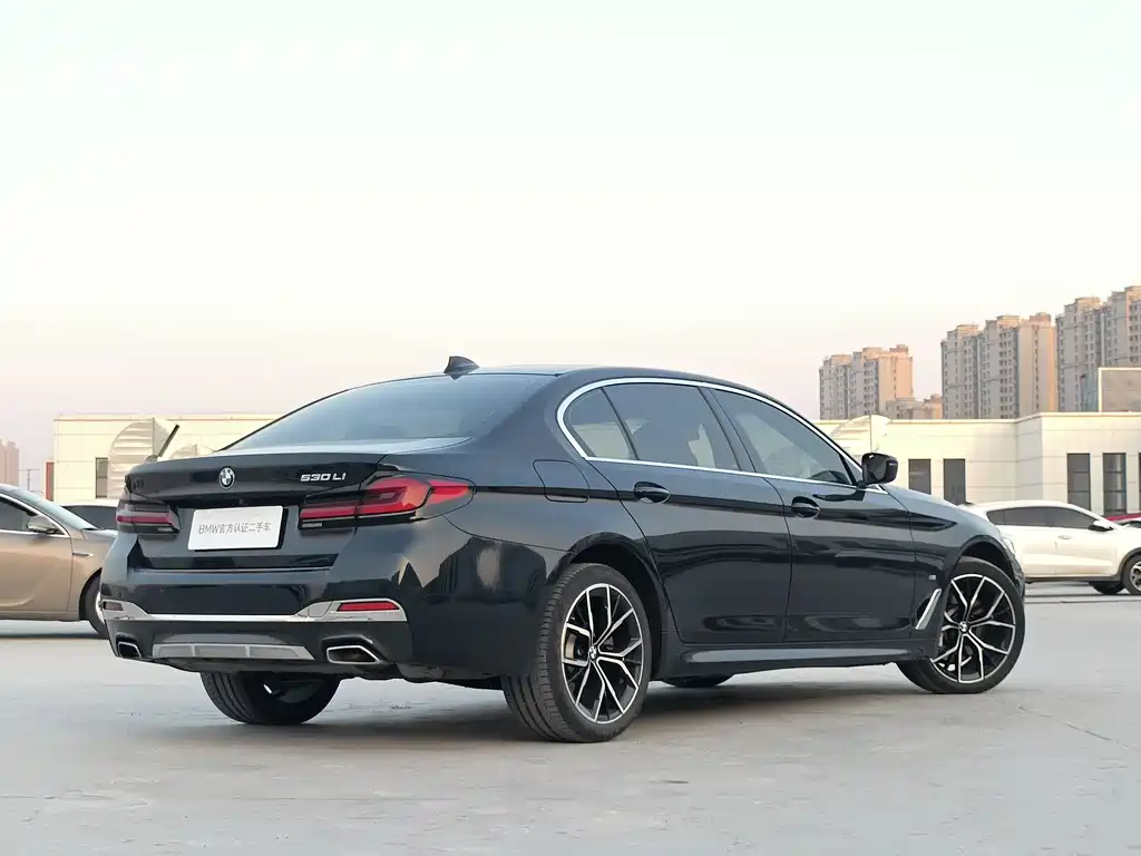 BMW 5 SERIES