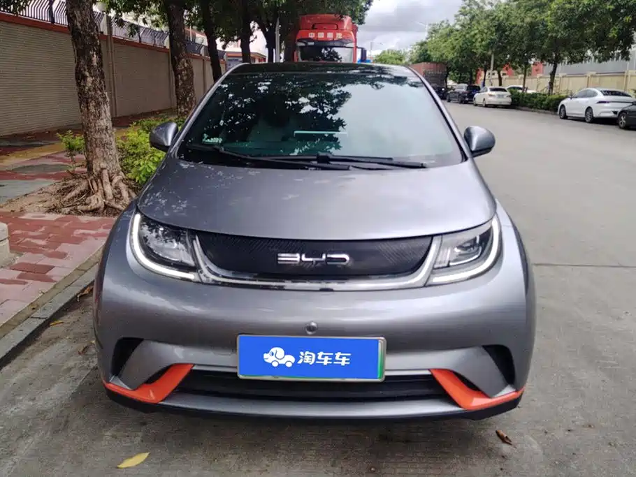 BYD Dolphin 2021 405km Fashion