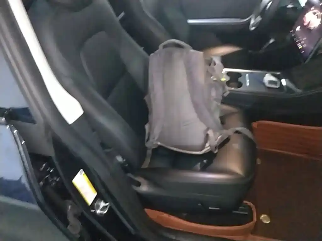 Tesla Model Y — миниатюра 25