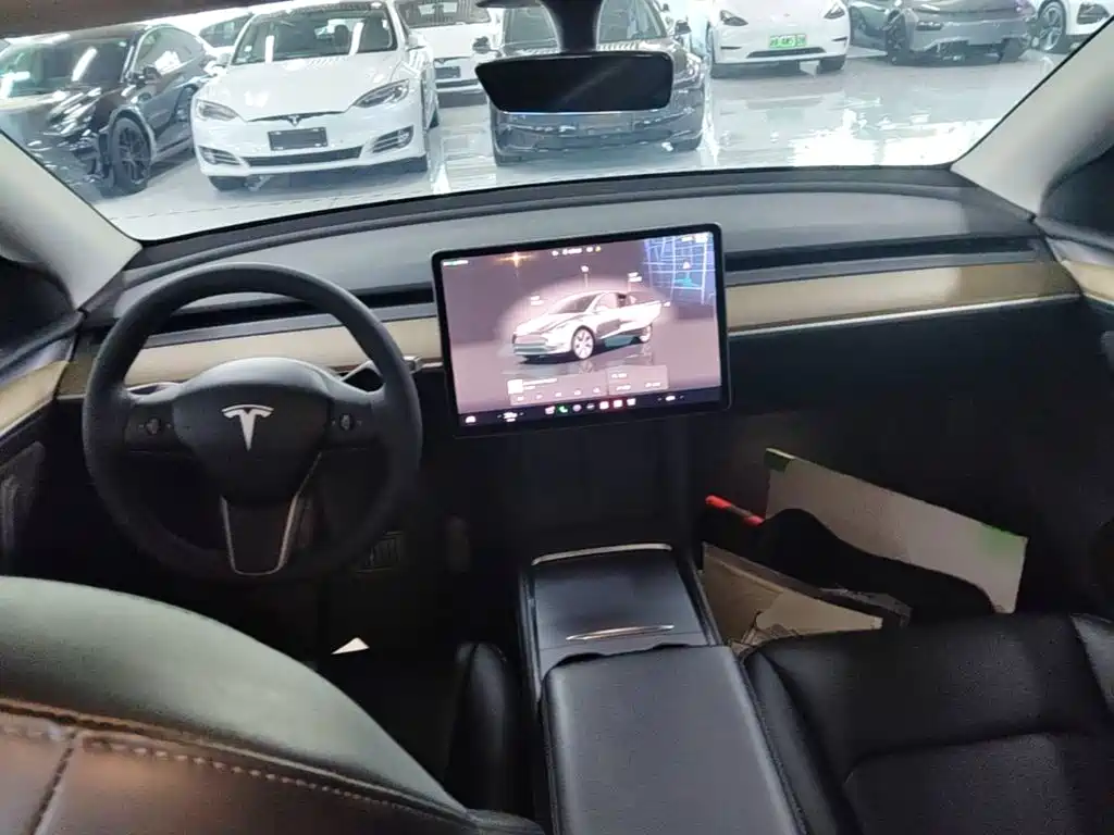 Tesla Model Y — миниатюра 10