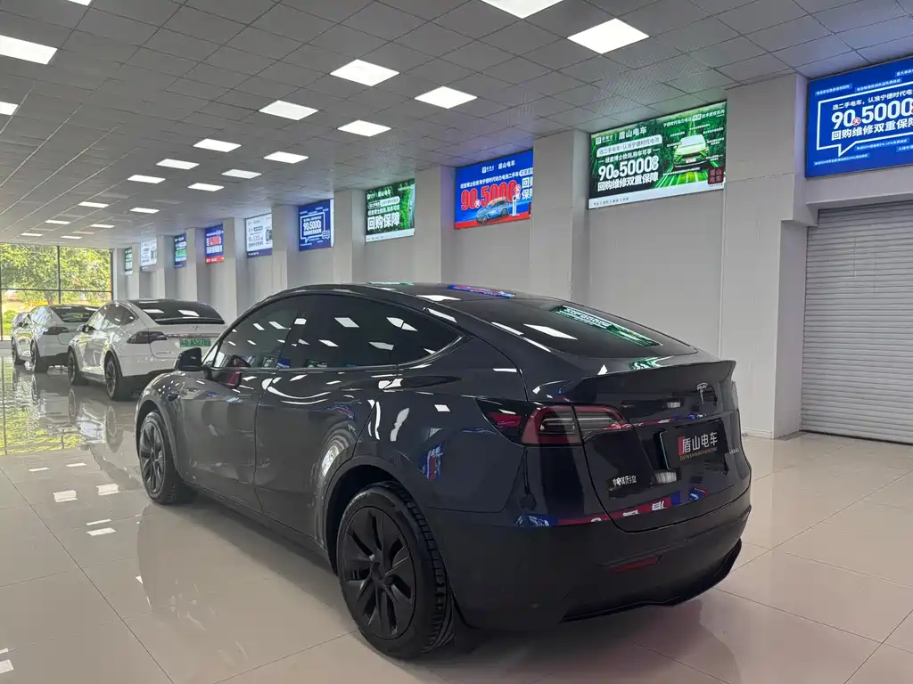 Tesla Model Y — миниатюра 4