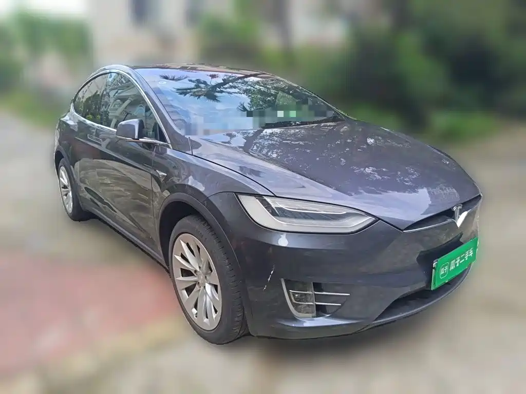 Tesla Model X — миниатюра 24