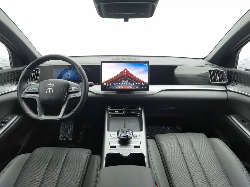 BYD Pro New Energy — миниатюра 5
