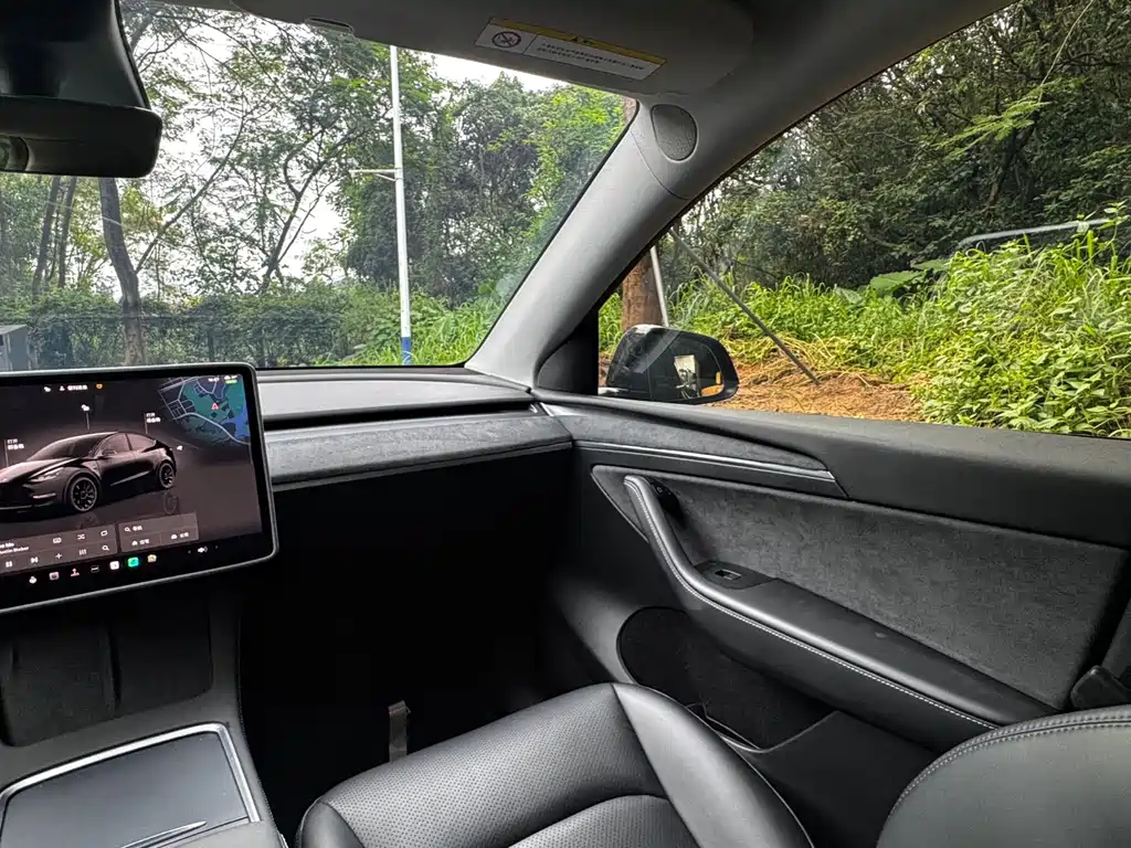 Tesla Model Y — миниатюра 16