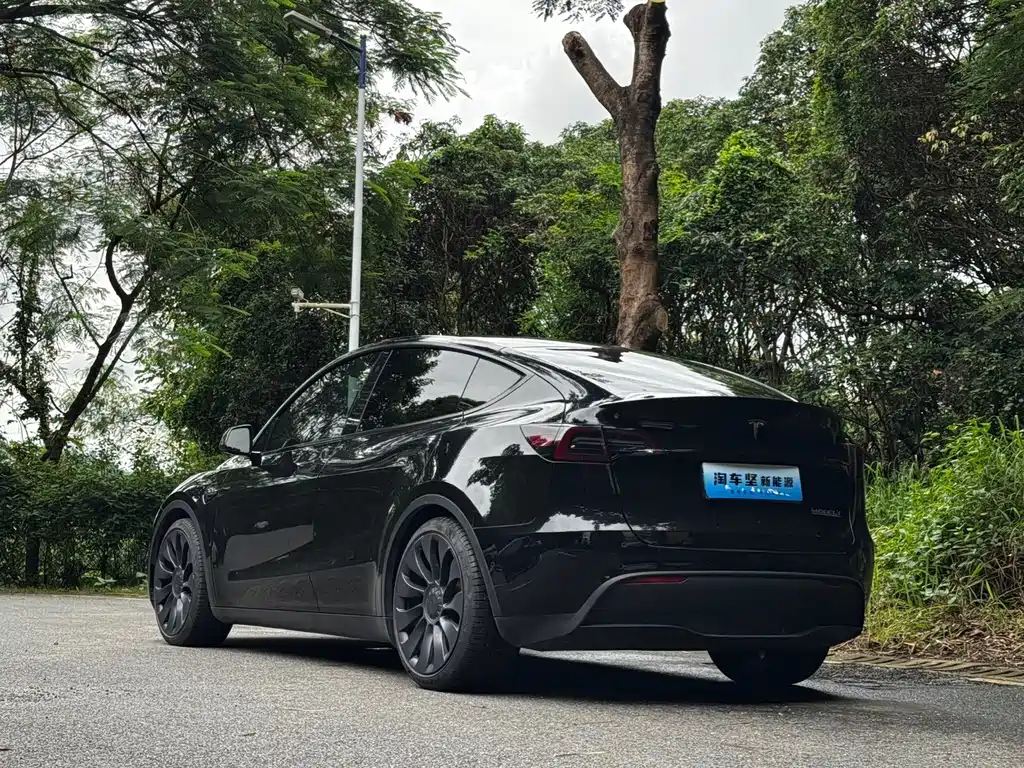 Tesla Model Y — миниатюра 3