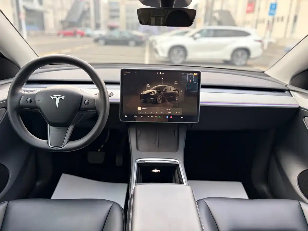 Tesla Model Y — миниатюра 14