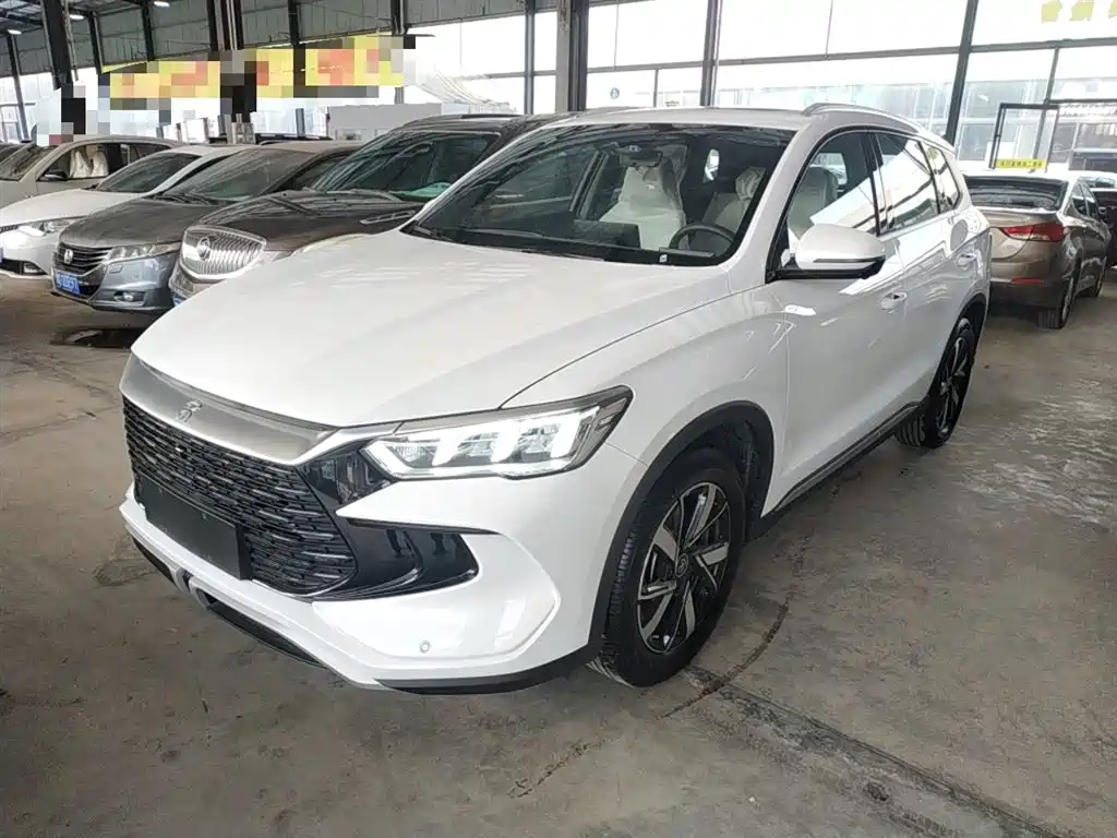 BYD Pro New Energy 2025