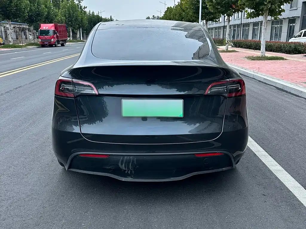 Tesla Model Y — миниатюра 4