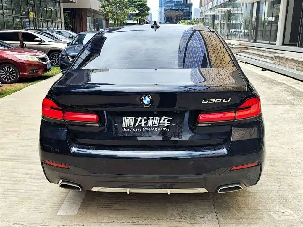 BMW 5 Series 5 2022 530Li Premium M Sport