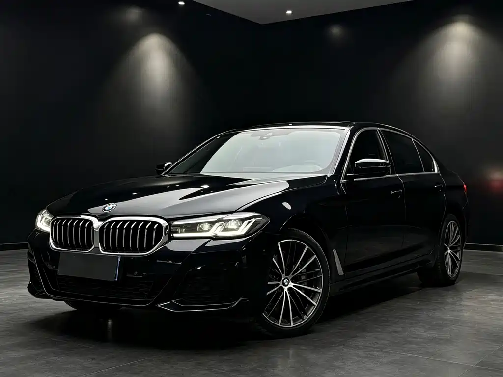 BMW 5 Series — миниатюра 2