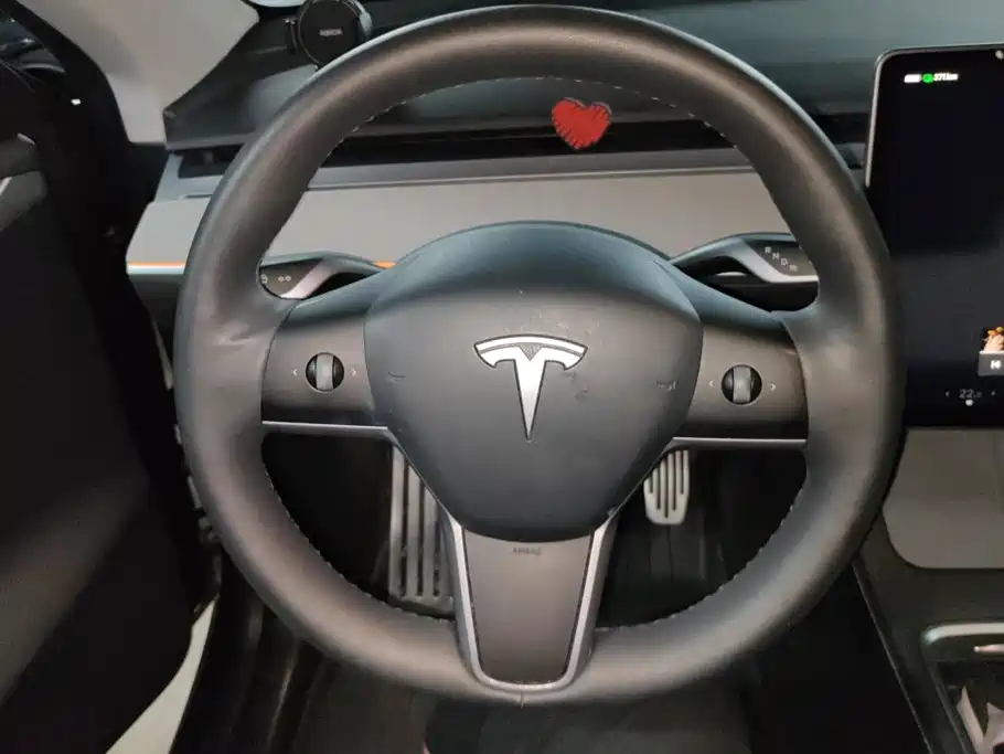 Tesla Model Y — миниатюра 15
