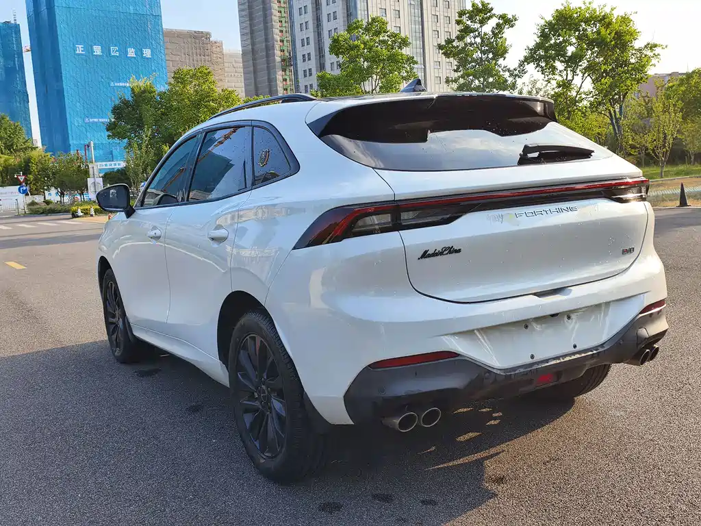 Fengxing Fengxing T5 EVO — миниатюра 13