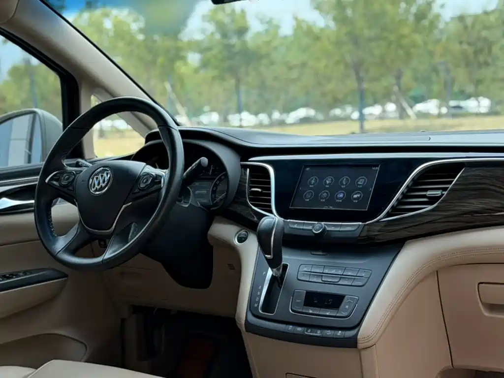 Buick GL8 — миниатюра 19