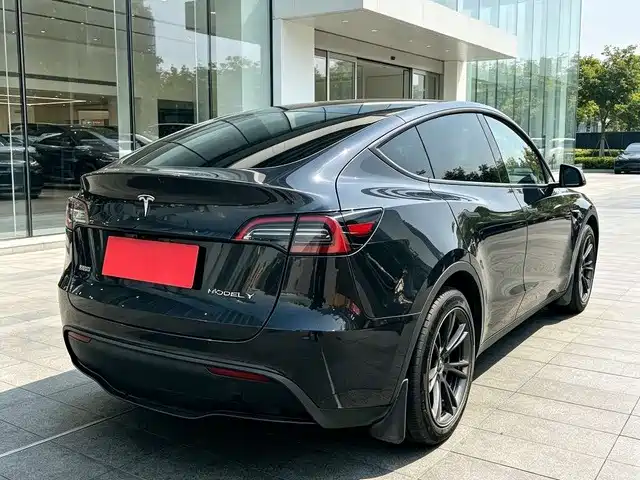 Tesla Model Y — миниатюра 4