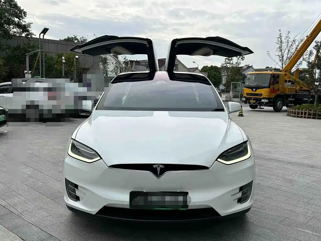 Tesla Model X 2017 Model X 100D