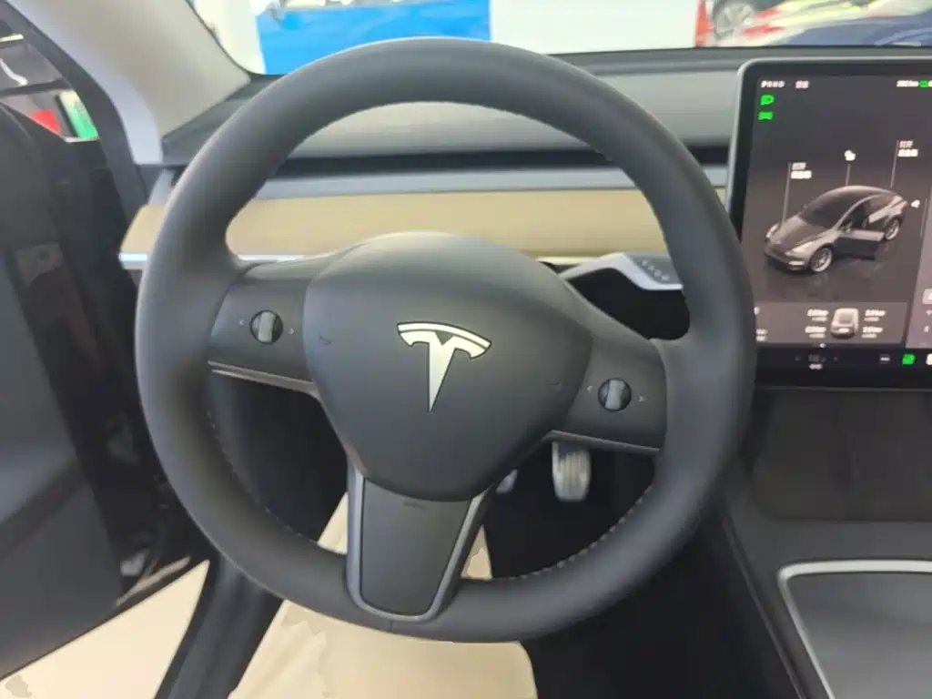 Tesla Model Y — миниатюра 11