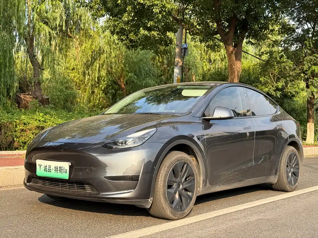 2024 Tesla Model Y - zdjęcie 1 z 13