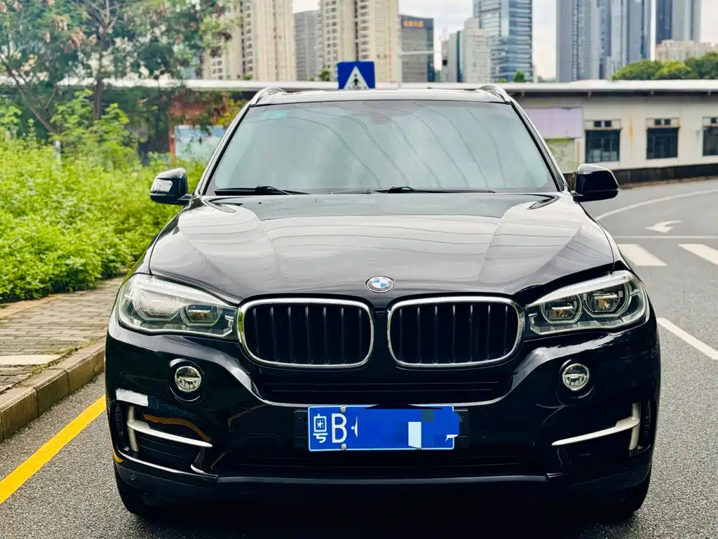 BMW X5 (Import) — миниатюра 2