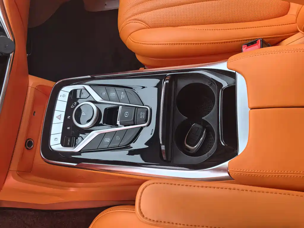 SAIC MAXUS CHASE G20