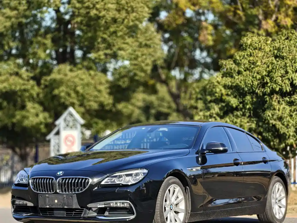 BMW 6 SERIES