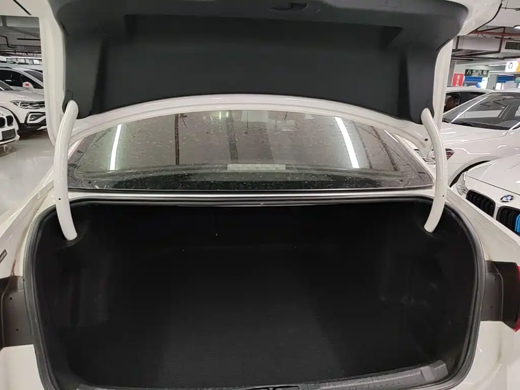 Volkswagen Lamando — миниатюра 19