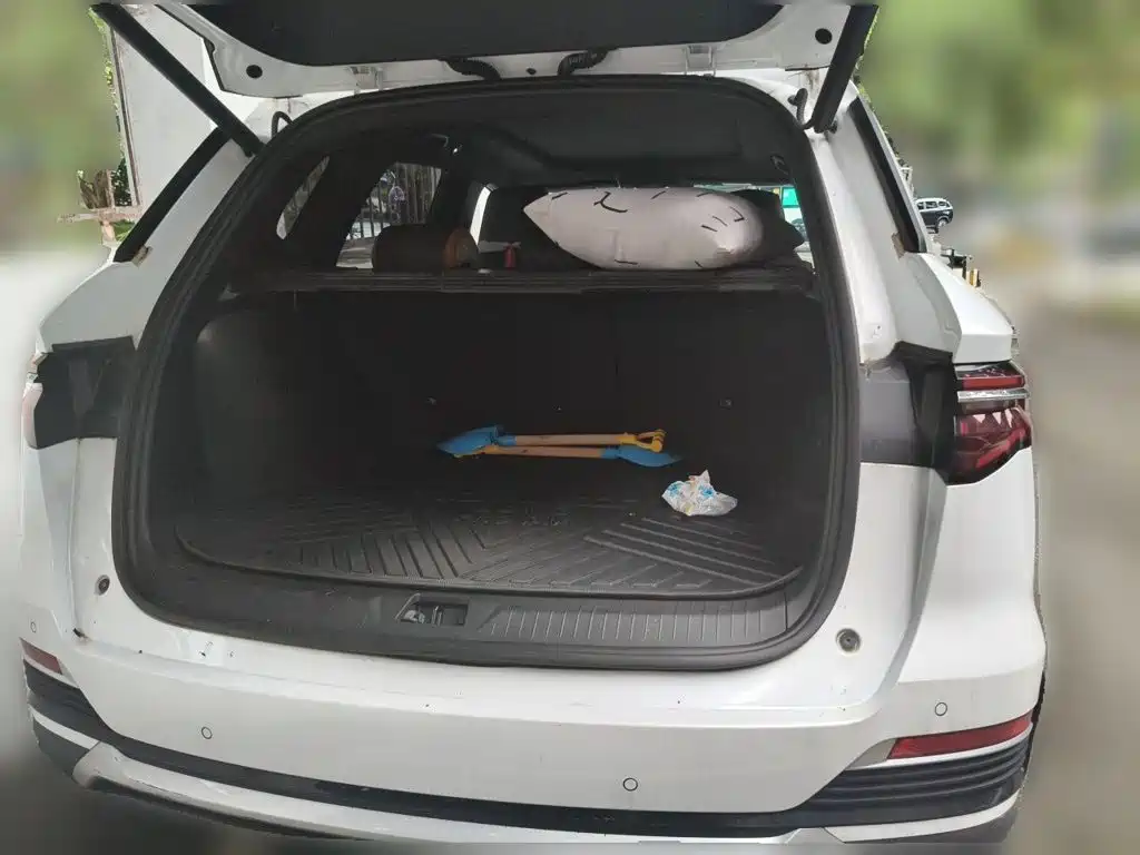 BYD Pro New Energy — миниатюра 15