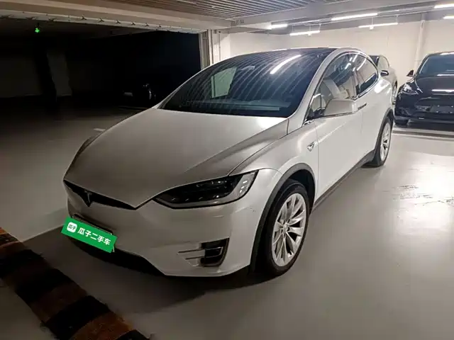 2020 Tesla Model X
