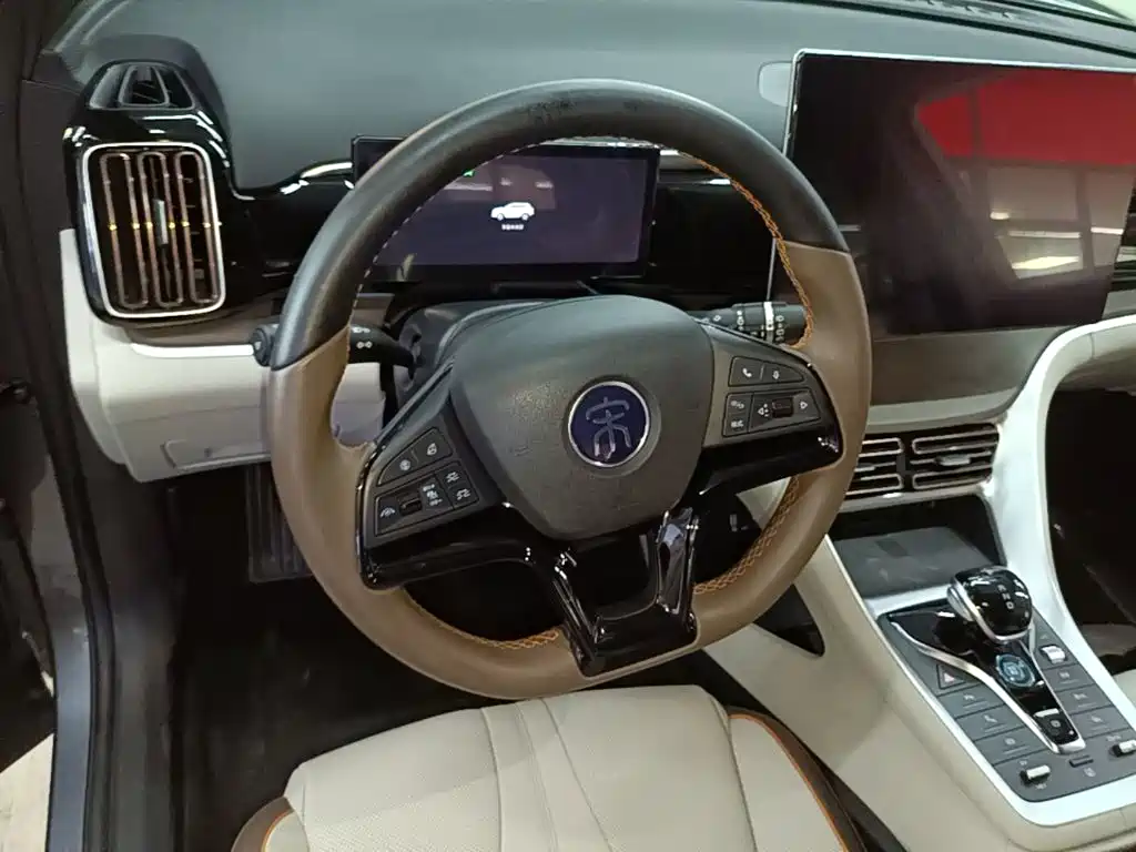 BYD Pro New Energy — миниатюра 11