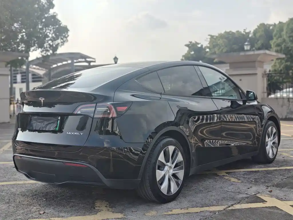 Tesla Model Y — миниатюра 11