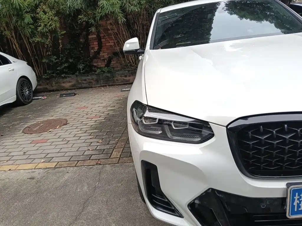 BMW X4 — миниатюра 7