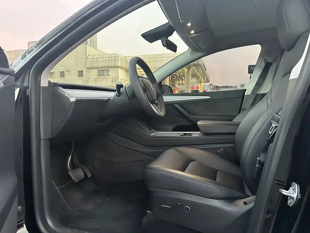 Tesla Model Y — миниатюра 8