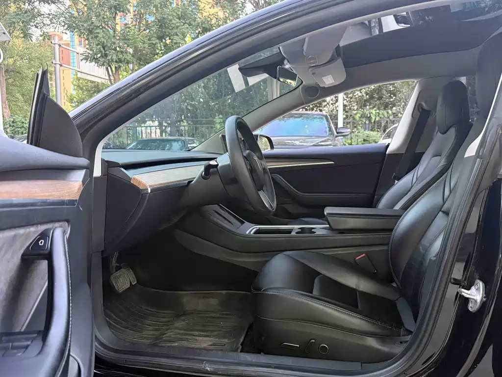 Tesla Model 3 — миниатюра 3