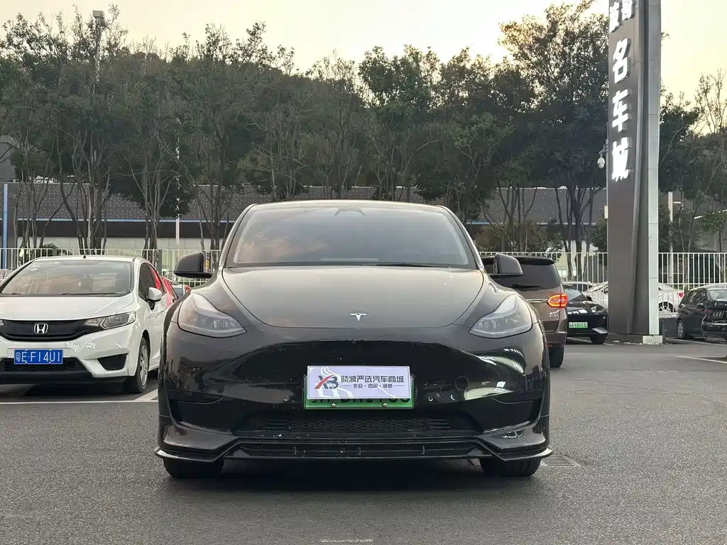 Tesla Model Y — миниатюра 2