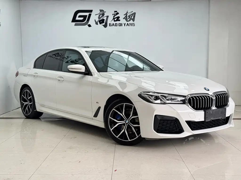 BMW 5 Series (Import) — миниатюра 3