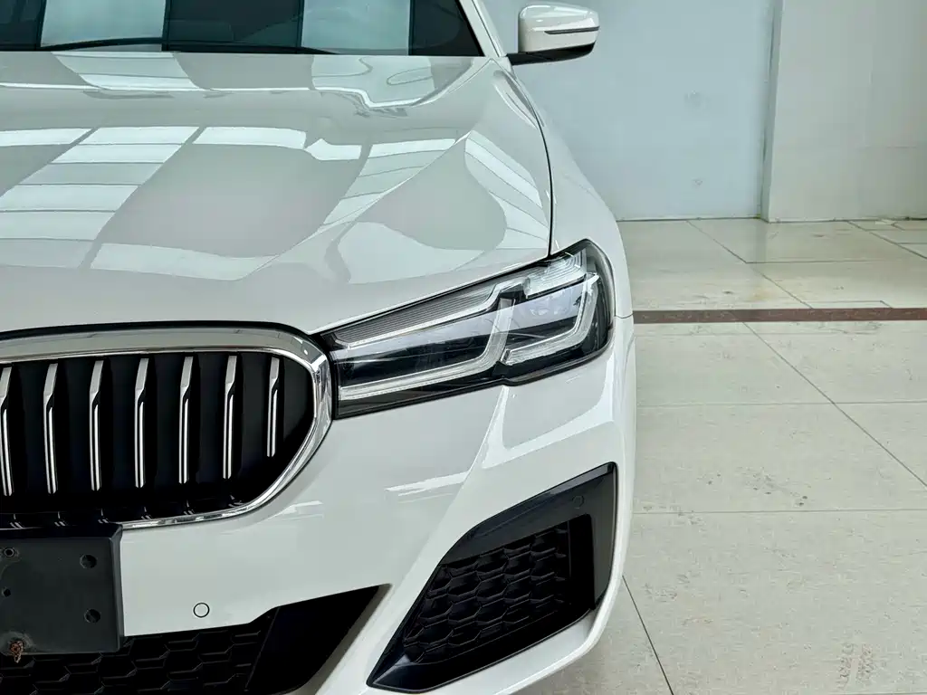 BMW 5 Series (Import) — миниатюра 4