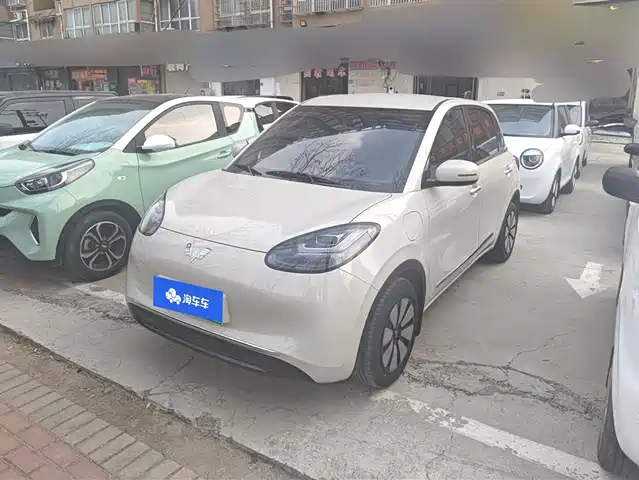 WULING WULING BINGGUO 2024