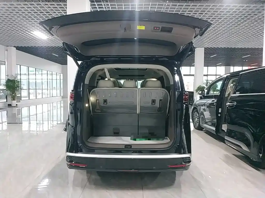 Denza Denza D9 — миниатюра 19
