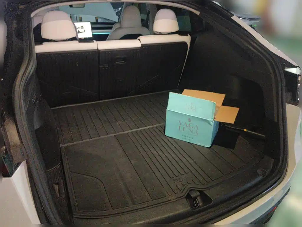 Tesla Model Y — миниатюра 20